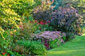 PASHLEY MANOR GARDEN, SUSSEX: LAWN, BORDER WITH SEDUMS, COTINUS. SEPTEMBER, ENGLISH, COUNTRY, GARDENS