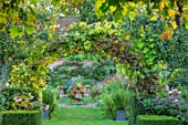 PASHLEY MANOR GARDEN, SUSSEX: ARCH OF VITIS, ENTRANCE TO KITCHEN GARDEN IN SEPTEMBER. VEGETABLE, POTAGER