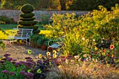 KELMARSH HALL, NORTHAMPTONSHIRE: EVENING SUNLIGHT ON BORDER WITH DAHLIAS, WHITE METAL BENCH, SEAT, CLIPPED TOPIARY SPIRAL