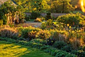 KELMARSH HALL, NORTHAMPTONSHIRE: EVENING SUNLIGHT ON BORDER WITH DAHLIAS, WHITE METAL BENCH, SEAT, CLIPPED TOPIARY SPIRAL