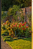 KELMARSH HALL, NORTHAMPTONSHIRE: VIEW THROUGH GATE TO BORDER BESIDE WALL WITH CANNAS AND ORANGE, PALE, RED DAHLIA TARATAHI RUBY. WALLED, GARDENS, COUNTRY, EVENING LIGHT