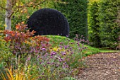 RADCOT HOUSE, OXFORDSHIRE:THE PAVILION AREA: PATH, COTINUS, VERBENA BONARIENSIS, MOUND, BLACK ASTROTURF BALL BY LUCY STRACHAN, ORNAMENT