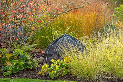 RADCOT_HOUSE_OXFORDSHIRE_BORDER_IN_THE_POOL_ROOM_SESLERIA_AUTUMNALIS_SCULPTURE_COPPER_POD_BY_MIKE_SA
