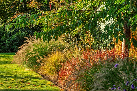 RADCOT_HOUSE_OXFORDSHIRE_POOL_ROOM_BORDER_WITH_GRASSES_AND_IMPERATA_CYLINDRICA_RED_BARRON_BORDERS_GR