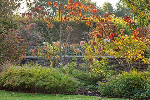 RADCOT_HOUSE_OXFORDSHIRE_BORDER_IN_AUTUMN_WITH_HYDRANGEAS_LATE_SUMMER_AUTUMN_FALL_BORDERS