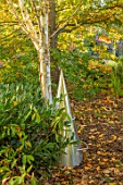 RADCOT HOUSE, OXFORDSHIRE: METAL CONE SEAT IN WOODLAND. SCULPTURE, AUTUMN, FALL, SCULPTURES, BIRCHES