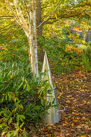 RADCOT_HOUSE_OXFORDSHIRE_METAL_CONE_SEAT_IN_WOODLAND_SCULPTURE_AUTUMN_FALL_SCULPTURES_BIRCHES