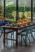 SPRINGFIELDS HOUSE, WEST CLANDON, SURREY: CHRISTMAS. OPEN PLAN KITCHEN, DINING ROOM. GLASS WALLED EXTENSION, WOODEN DINING TABLE, CHAIRS