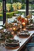 GIBBONS CROFT, WEST CLANDON, SURREY: CHRISTMAS. OPEN PLAN KITCHEN, DINING ROOM. GLASS WALLED EXTENSION, WOODEN DINING TABLE, NATURAL DECORATIONS, DRIED HYDRANGEAS