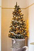 AMANDA KNOX HOUSE GRANTHAM: CHRISTMAS TREE IN LIVING ROOM