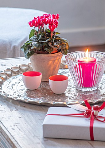 AMANDA_KNOX_HOUSE_GRANTHAM_FRONT_LIVING_ROOM_CHRISTMAS_CANDLES_CONTAINER_CYCLAMEN_INDOOR_FLOWERS_PRE