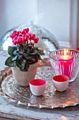 AMANDA KNOX HOUSE GRANTHAM: FRONT LIVING ROOM, CHRISTMAS, CANDLES, CONTAINER, CYCLAMEN, INDOOR, FLOWERS, PRESENTS, TRAY, PINK