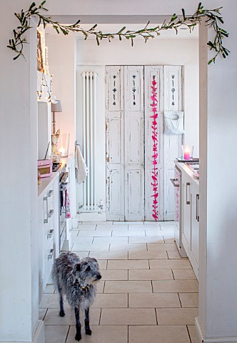 AMANDA_KNOX_HOUSE_GRANTHAM_DOG_IN_WHITE_AND_PINK_KITCHEN_CHRISTMAS