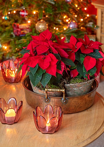 THE_CONIFERS_OXFORDSHIRE_CHRISTMAS_COUNTRY_CLASSIC_LIVING_ROOM_SITTING_ROOM_TABLE_CANDLES_POINSETTIA