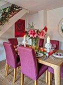 THE CONIFERS, OXFORDSHIRE: CHRISTMAS - KITCHEN DINING ROOM - TABLE, CHAIRS, MIRROR, PRINT OF RED CAMELLIA BY CLIVE NICHOLS, STAIRCASE, VASE WITH AMARYLLIS, PINEAPPLE CANDLESS