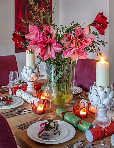THE_CONIFERS_OXFORDSHIRE_CHRISTMAS__KITCHEN_DINING_ROOM__TABLE_CHAIRS_PRINT_OF_RED_CAMELLIA_BY_CLIVE
