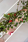 THE CONIFERS, OXFORDSHIRE: CHRISTMAS - KITCHEN DINING ROOM - STAIRCASE WITH IVY, DECORATIONS, NATURAL