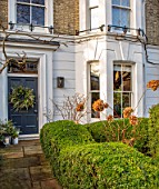 BUTTER WAKEFIELD HOUSE, LONDON: CHRISTMAS - HEDGING AND HYDRANGEAS - FRONT GARDEN, FRONT OF HOUSE, WREATH ON DOOR