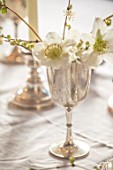 WARDINGTON MANOR, OXFORDSHIRE: FLORIST SHANE CONNOLLY - DINING ROOM: CANDLES, VASES, CONTAINER WITH CHRISTMAS ROSE, HELLEBORES, INDOOR, FLOWERS