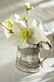 WARDINGTON MANOR, OXFORDSHIRE: FLORIST SHANE CONNOLLY - DINING ROOM: VASES, CONTAINER WITH CHRISTMAS ROSE, HELLEBORES, INDOOR, FLOWERS