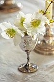 WARDINGTON MANOR, OXFORDSHIRE: FLORIST SHANE CONNOLLY - DINING ROOM: CANDLES, VASES, CONTAINER WITH CHRISTMAS ROSE, HELLEBORES, INDOOR, FLOWERS