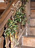WARDINGTON MANOR, OXFORDSHIRE: FLORIST SHANE CONNOLLY - LIVING ROOM, HALLWAY - STAIRS WITH NATURAL CHRISTMAS DECORATIONS - HONESTY, IVY, LICHEN