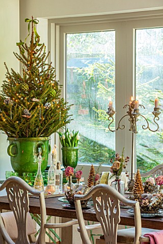 MERRYWOOD_JACKY_HOBBS_HOUSE_LONDON_DINING_AREA_WOODEN_DINING_TABLE_CHRISTMAS_PLACE_SETTINGS_GREEN_GL