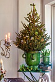MERRYWOOD, JACKY HOBBS HOUSE, LONDON: DINING AREA, GREEN GLAZED CONTAINER, CHRISTMAS TREE, GREEN GLASS TEALIGHTS, VINTAGE BOOKS