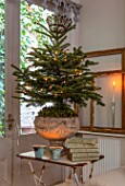 MERRYWOOD, JACKY HOBBS HOUSE, LONDON: DINING AREA, STONE URN, CHRISTMAS TREE, CANDLES, VINTAGE FRENCH BOOKS, VINTAGE GILT FRAMES