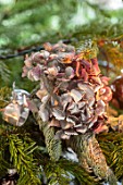 MERRYWOOD, JACKY HOBBS HOUSE, LONDON: CHRISTMAS TREE DETAIL WITH NATURAL DECORATION, DRIED HYDRANGEA, METALLIC SPRAY PAINT