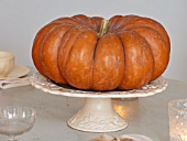 MERRYWOOD, JACKY HOBBS HOUSE, LONDON: WHITE KITCHEN, CHRISTMAS: PUMPKIN ON CERAMIC CAKE STAND ON TABLE