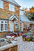 THE CONIFERS, OXFORDSHIRE: FRONT OF THE HOUSE, SNOW, CONTAINERS WITH CYCLAMEN, SKIMMIA, CANDLES, PATIO, GRAVEL, GARDEN, DECEMBER, CHRISTMAS