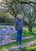 LITTLE COURT, HAMPSHIRE - PATRICIA ELKINGTON IN HER ORCHARD IN FEBRUARY. CROCUS TOMMASINIANUS, MEADOW, APPLE ORCHARD, NATURALIZED, BULBS, LAWN, GRASS