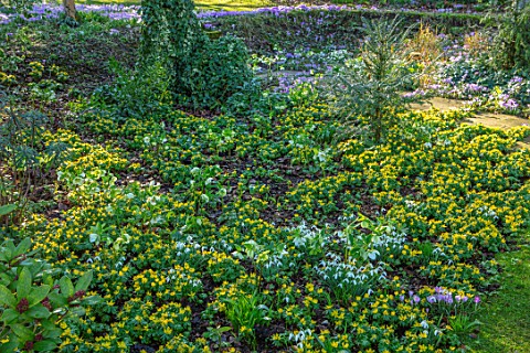 LITTLE_COURT_HAMPSHIRE__LAWN_STEPPING_STONES_STEPS_SNOWDROPS_ACONITES_ERANTHIS_HYEMALIS_CROCUS_TOMMA