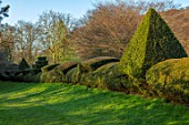 LITTLE MALVERN COURT, WORCESTERSHIRE: CLIPPED, YEW, TOPIARY, HEDGES, HEDGING, SPRING