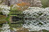 LITTLE MALVERN COURT, WORCESTERSHIRE: SPRING, LAKE, WATER, POND, POOL, BRIDGES, PRUNUS SHIROTAE, CHERRIES, CHERRY, TREES, APRIL, WHITE, BLOSSOMS, FLOWERS, REFLECTIONS, REFLECTED