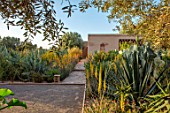 TAROUDANT, MOROCCO: DESIGNERS ARNAUD MAURIERES AND ERIC OSSART: BOULES COURT, AGAVES, YELLOW FLOWERED ALOE VERA, HOUSE, APRIL, DRY, ARID, SUCCULENTS