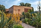 TAROUDANT, MOROCCO: DESIGNERS ARNAUD MAURIERES AND ERIC OSSART: PATH, AGAVES, YELLOW FLOWERED ALOE VERA, HOUSE, APRIL, DRY, ARID, SUCCULENTS