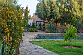 TAROUDANT, MOROCCO: DESIGNERS ARNAUD MAURIERES AND ERIC OSSART: PATH, AGAVES, YELLOW FLOWERED ALOE VERA, HOUSE, APRIL, DRY, ARID, SUCCULENTS, SWIMMING POOL