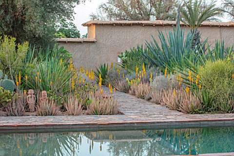 TAROUDANT_MOROCCO_DESIGNERS_ARNAUD_MAURIERES_AND_ERIC_OSSART_SWIMMING_POOL_BORDER_WITH_YELLOW_FLOWER