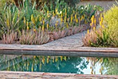 TAROUDANT, MOROCCO: DESIGNERS ARNAUD MAURIERES AND ERIC OSSART: SWIMMING POOL, BORDER WITH YELLOW FLOWERED ALOE VERA, CACTUS, CACTI, AGAVES, ARID, DRY, REFLECTIONS