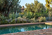 TAROUDANT, MOROCCO: DESIGNERS ARNAUD MAURIERES AND ERIC OSSART: SWIMMING POOL, GREEN BORDER, CACTUS, CACTI, AGAVES, ARID, DRY, REFLECTIONS