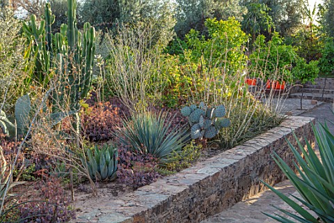 TAROUDANT_MOROCCO_DESIGNERS_ARNAUD_MAURIERES_AND_ERIC_OSSART_RAISED_BORDER_WITH_CACTUS_CACTI_AGAVES_