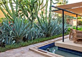 TAROUDANT, MOROCCO: DESIGNERS ARNAUD MAURIERES AND ERIC OSSART: BED OF AGAVES, SUCCULENTS, DRY, ARID, GARDENS, SEATING AREA, CANOPY, AWNING