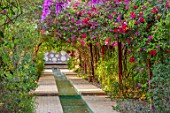 TAROUDANT, MOROCCO: DESIGNERS ARNAUD MAURIERES AND ERIC OSSART: MOORISH STYLE RILL, CANAL, WATERWAY WITH PERGOLA OF PINK, RED FLOWERS OF BOUGAINVILLEA, GREEN, PAVING