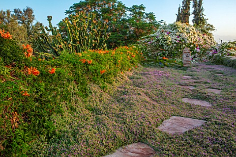 TAROUDANT_MOROCCO_DESIGNERS_ARNAUD_MAURIERES_AND_ERIC_OSSART_STEPPING_STONES_ACROSS_ROOF_GARDEN_BOUG