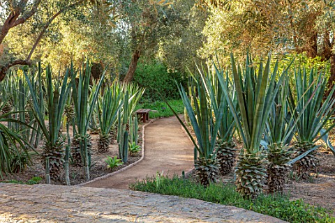 TAROUDANT_MOROCCO_DESIGNERS_ARNAUD_MAURIERES_AND_ERIC_OSSART_PATH_TERRACE_AGAVES_CLIPPED_SUCCULENTS_