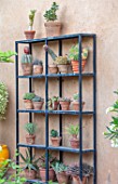 TAROUDANT, MOROCCO: DESIGNERS ARNAUD MAURIERES AND ERIC OSSART: METAL FRAMED SHELF, TERRACOTTA CONTAINERS PLANTED WITH CACTI, CACTUS, SUCCULENTS, PATIO, TERRACE