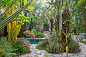 TAROUDANT, MOROCCO: DESIGNERS ARNAUD MAURIERES AND ERIC OSSART: DAR AL HOSSOUN - CACTUS, CACTI AND EXOTIC PLANTING BESIDE POOL, WATER, CANAL, ALOE VERA, TERRACES, YELLOW FLOWERS