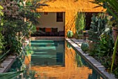 TAROUDANT, MOROCCO: DESIGNERS ARNAUD MAURIERES AND ERIC OSSART: DAR AL HOSSOUN - EXOTIC PLANTING BESIDE POOL, WATER, CANAL, LOGGIA, ORANGE, CUSHIONS, SEATING
